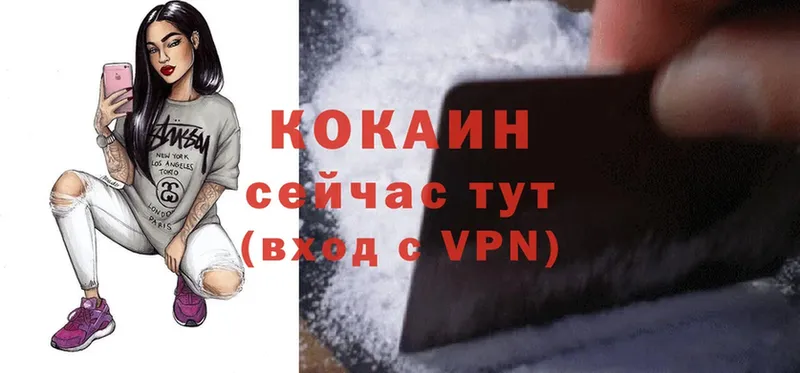 где можно купить   Благодарный  COCAIN Fish Scale 